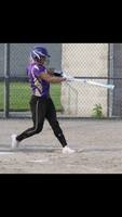 Goble sets new MHSAA HR Record!